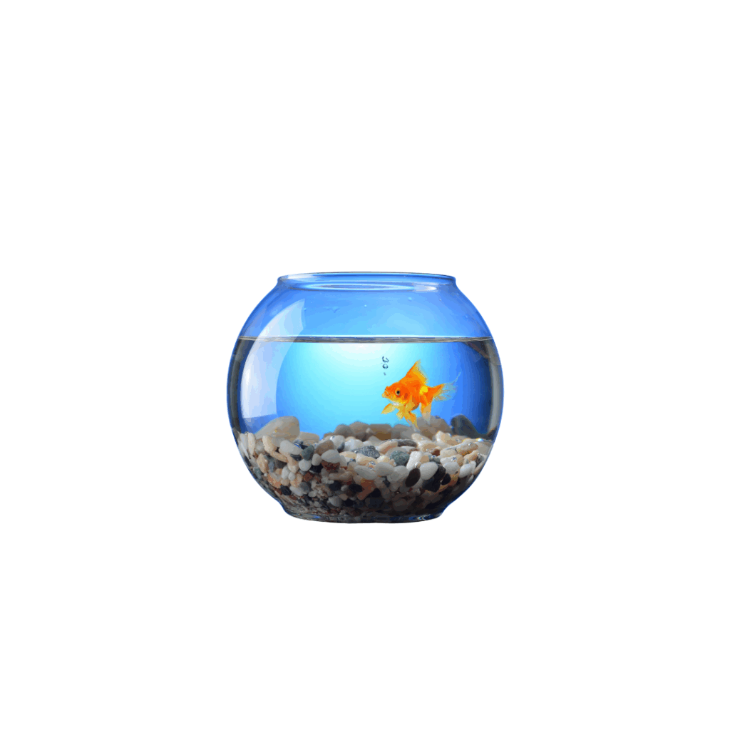 Aqua ecom best selling aquriam